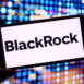 Konskie, Poland - November 20, 2024: BlackRock company logo displayed on mobile phone